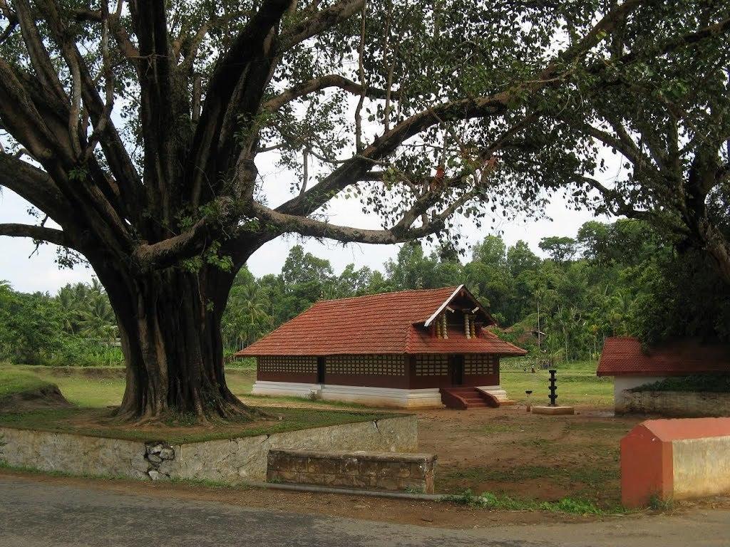 Wayanad Gate Resort Mananthavadi Kültér fotó