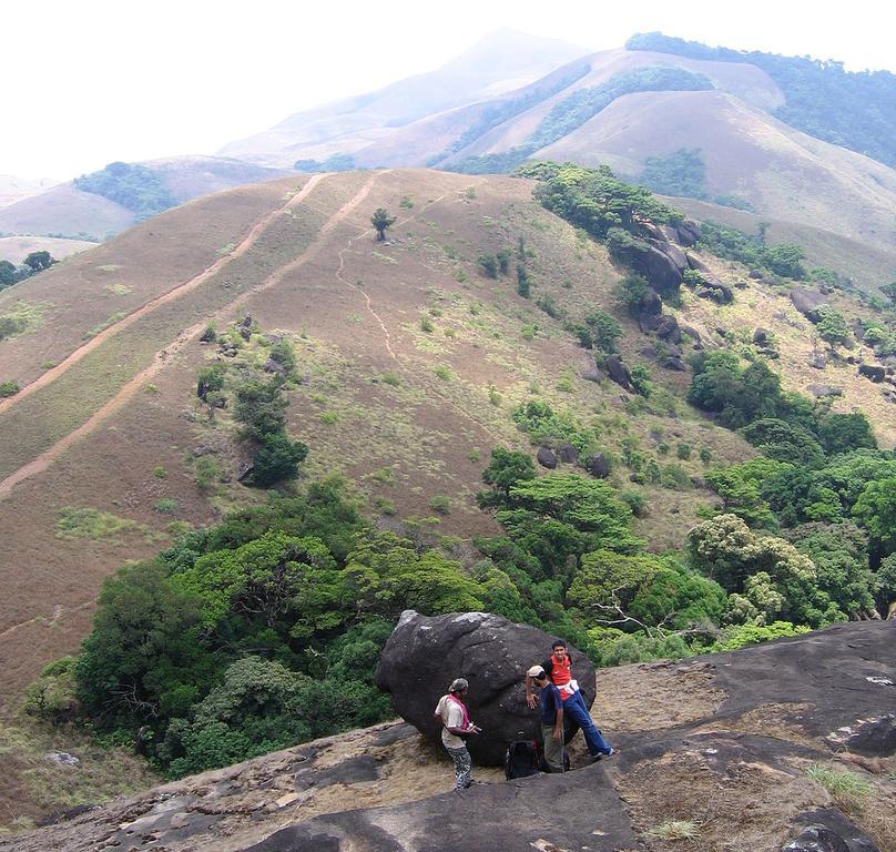 Wayanad Gate Resort Mananthavadi Kültér fotó