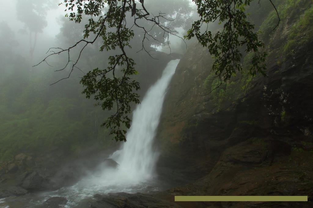 Wayanad Gate Resort Mananthavadi Kültér fotó