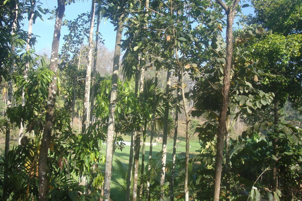 Wayanad Gate Resort Mananthavadi Kültér fotó